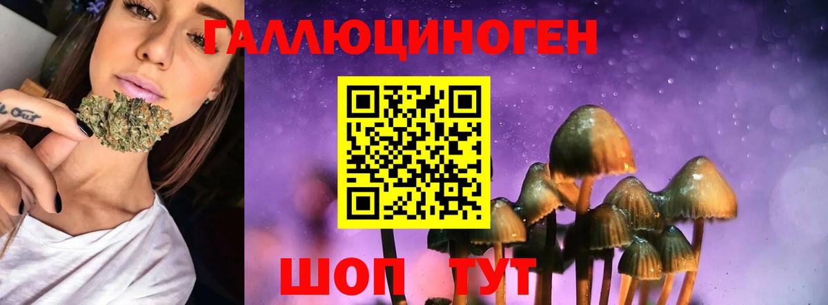 Ярцево  Галлюциногенные грибы Magic Shrooms  Вход с VPN 